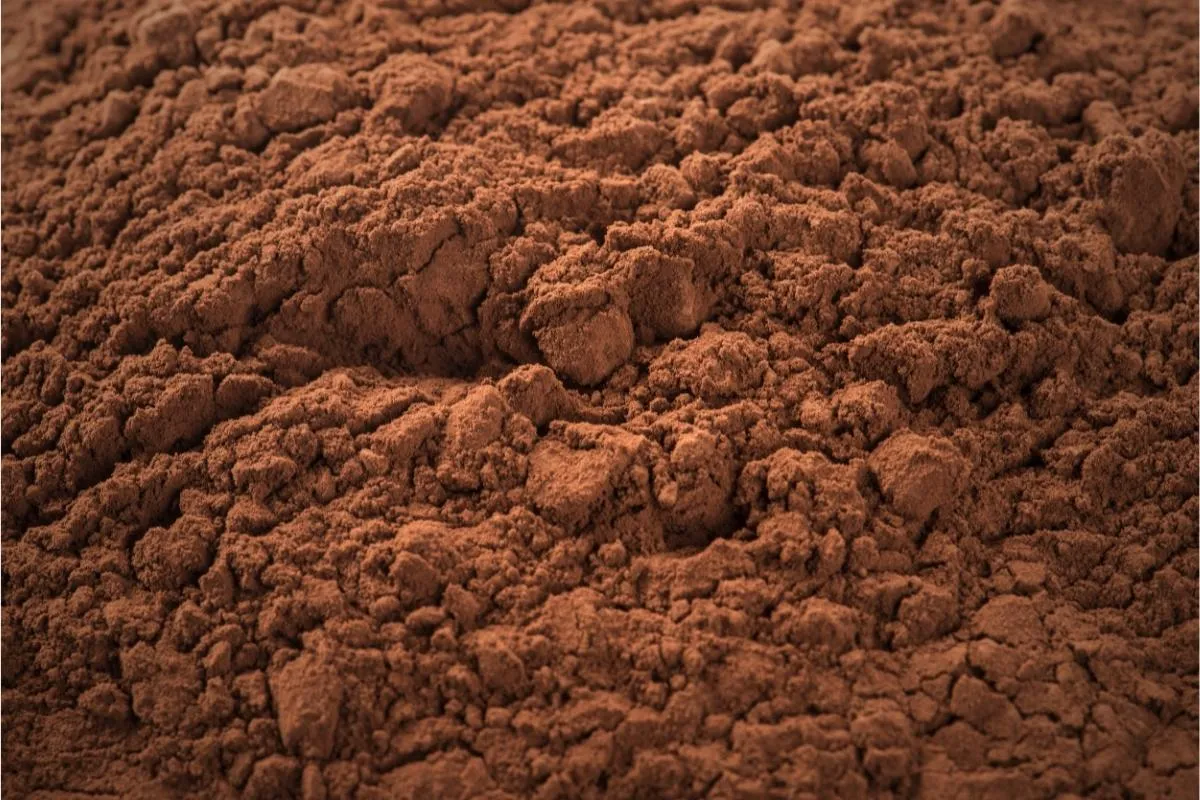cocoa powder 1200