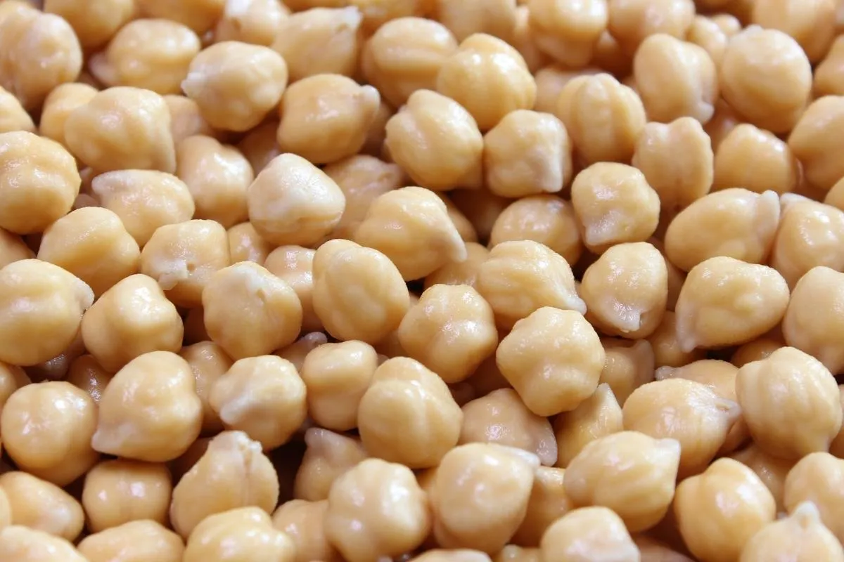 peeled chickpea 1200