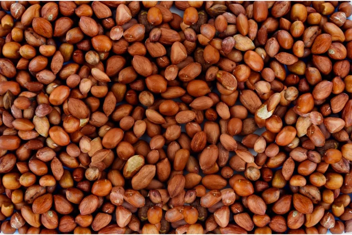 fried peanut 1200