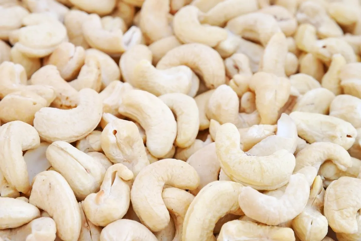 raw cashew nuts 1200